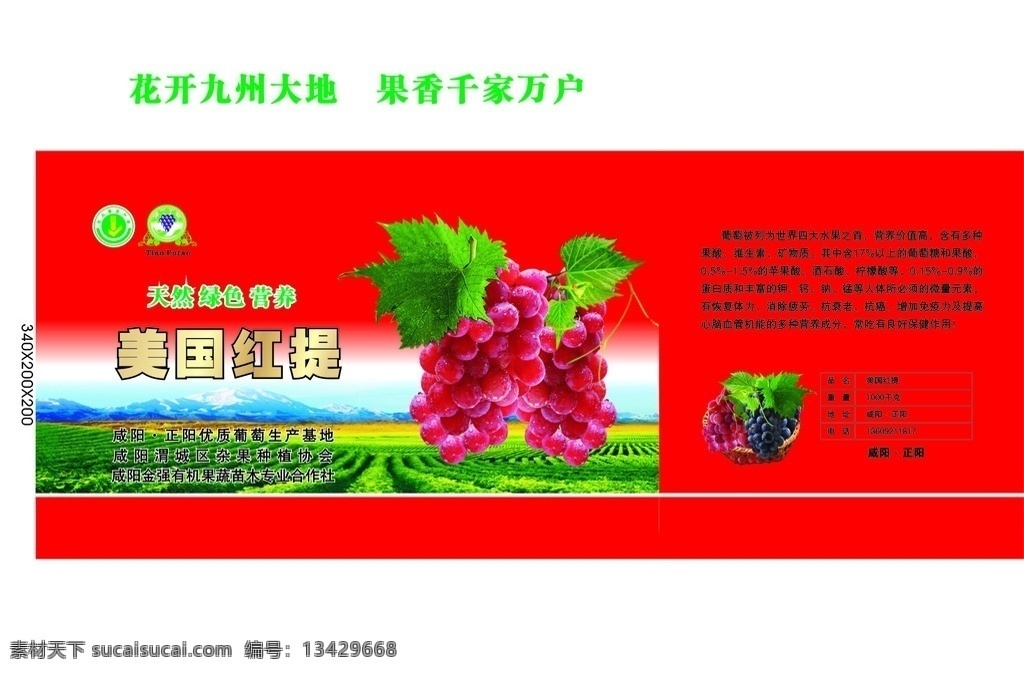 美国红提 葡萄 红提 水果箱 葡萄园 包装设计