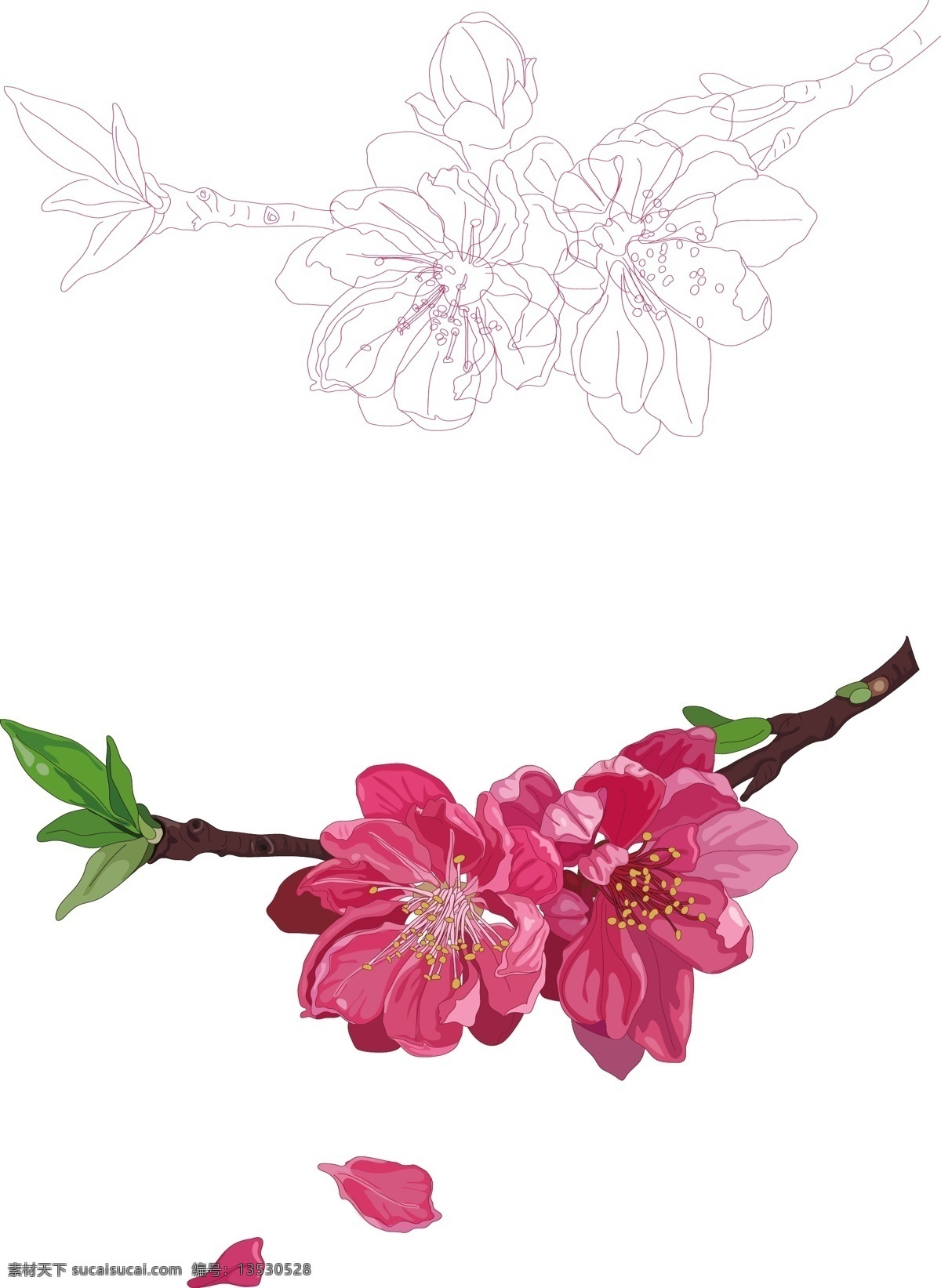 手绘 桃花 卡通 插画 商用 花 浪漫 粉红色 花瓣