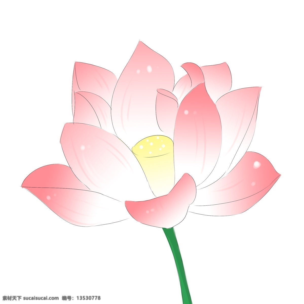 粉色 荷花 卡通 插画 粉色的荷花 卡通插画 花朵插画 鲜花 花束 荷花插画 花卉 美丽的荷花