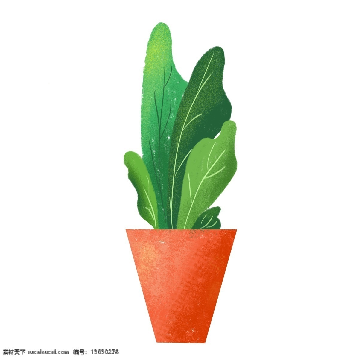 绿色 手绘 盆栽 植物 商用 绿色植物 观赏植物 装饰植物 手绘植物 绿叶 清新 卡通 手绘风