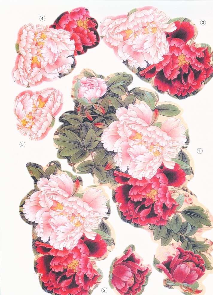 中国扇画 中国风 国画 水墨画 牡丹 国画花 底纹边框 背景底纹