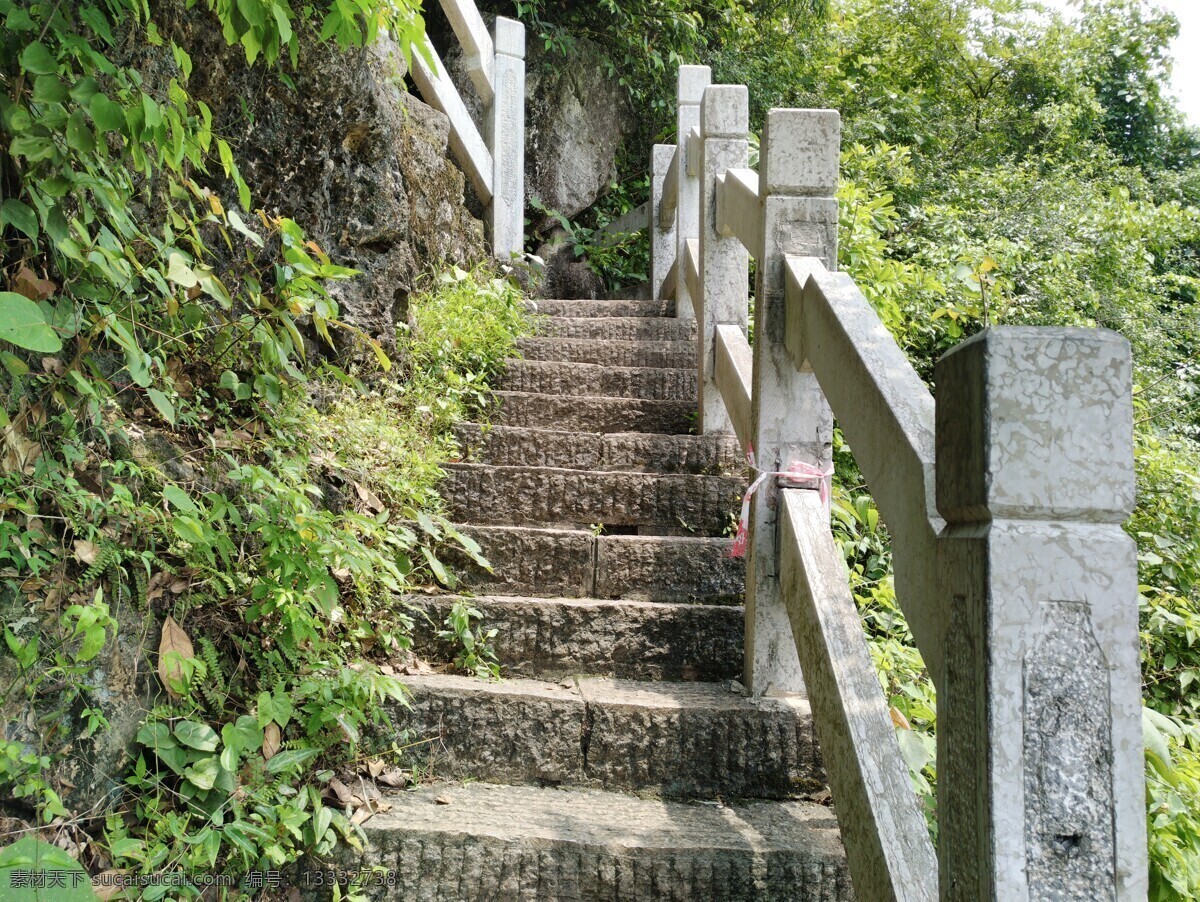 山路 爬山 公园 柳州 龙潭公园 楼梯 石头路 青山 自然景观 自然风景