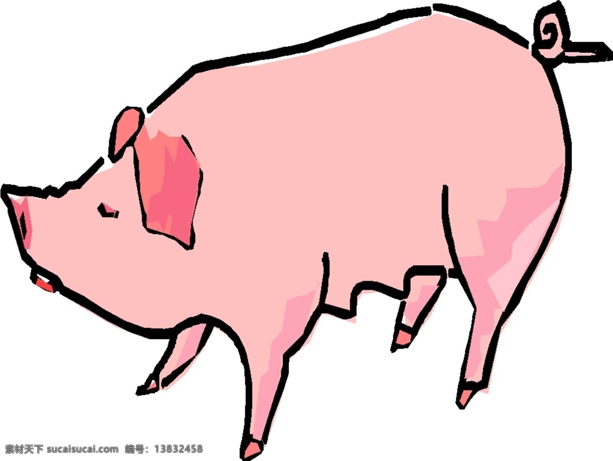 卡通 生肖 猪 家禽 家畜 矢量图 生物 世界 矢量 其他矢量图