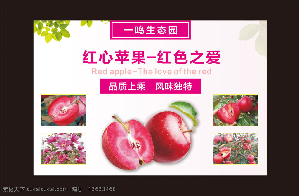 红色 之爱 苹果 海报 苹果宣传海报 苹果海报 淡粉色底色 红色之爱 红心苹果 矢量