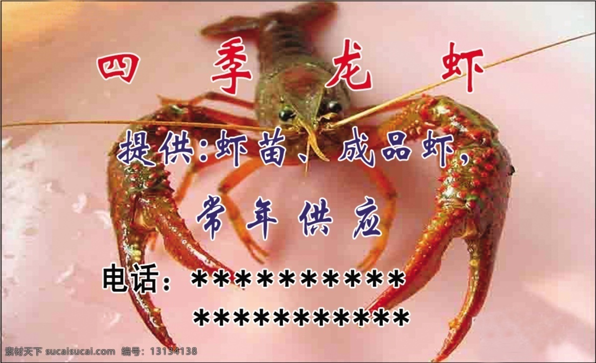 四季 龙虾 分层 文件 源文件 psd源文件 四季龙虾 提供虾苗 成品虾 常年供应