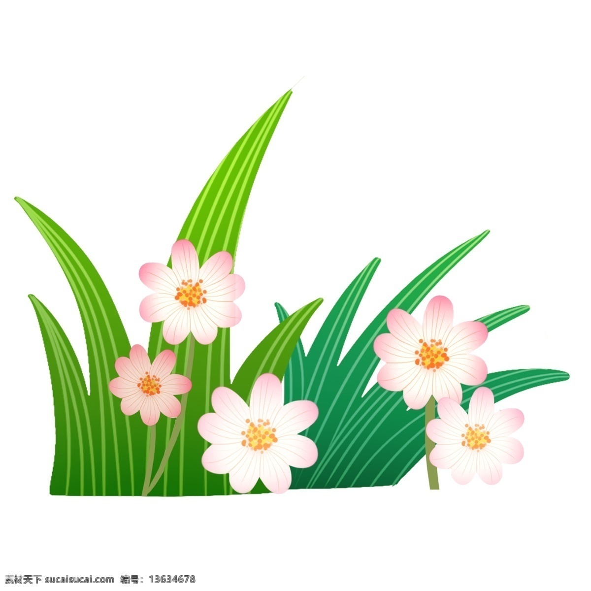 水彩 花卉 装饰 免 抠 图 鲜花 绿色 叶子 png元素 装饰图案 免扣素材