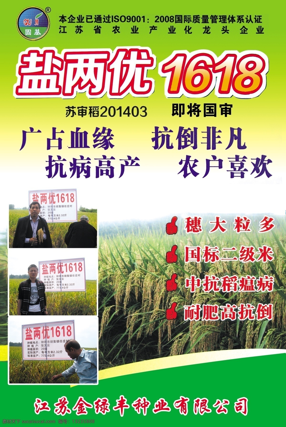 水稻海报宣传 盐 两 优 水稻 绿底 宣传单 宣传海报 固基标志 先治宣传单 海报 单页 展板模板