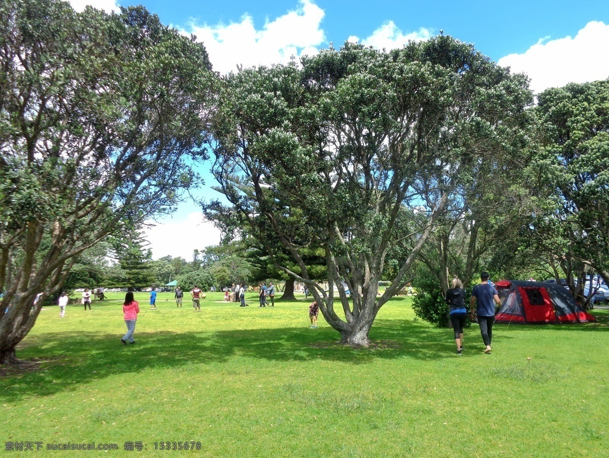 新西兰 海滨 公园 风景 蓝天 白云 海滨公园 绿树 绿地 草地 帐篷 游人 休闲 风光 旅游摄影 国外旅游