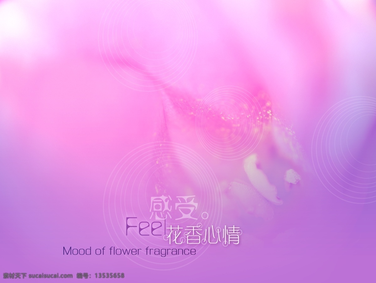 展板 模板 展架 分层 库 板式画册 版式设计 画册模板 画册展板 展板模板 展板模块 展板设计师 psd源文件