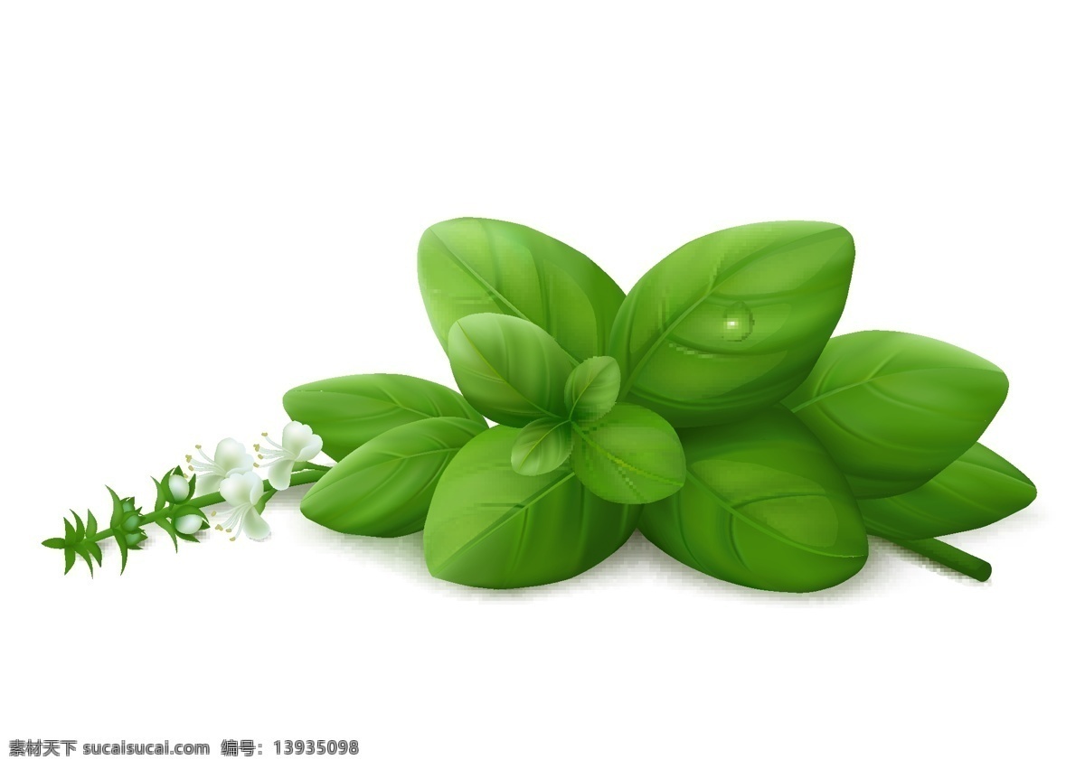 农作物 农场作物 水果蔬菜海报 蔬菜水果 水果背景 水果图 果蔬超市海报 蔬菜图 蔬菜挂画 蔬菜市场海报 水果展架 水果瓜果 蔬菜素材 水果宣传 水果文化 瓜果蔬菜 新鲜水果 水果展板 水果模板 水果店灯箱 超市蔬菜海报 蔬果超市 蔬菜展架 水果 蔬菜 食物