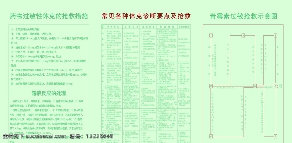 示意图 抢救措施 输液 休克 药物过敏