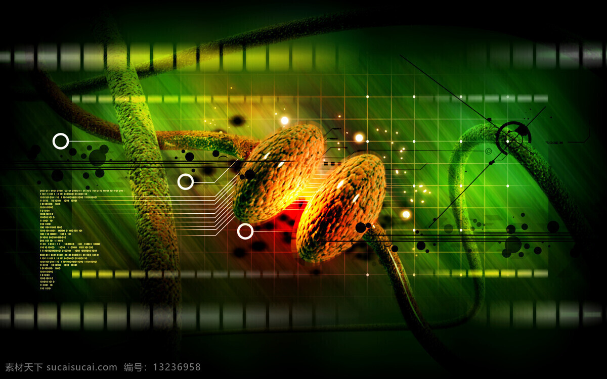 医疗 科技 背景 人体器官 医疗背景 医疗科学 背景底纹 医学背景 医疗护理 现代科技