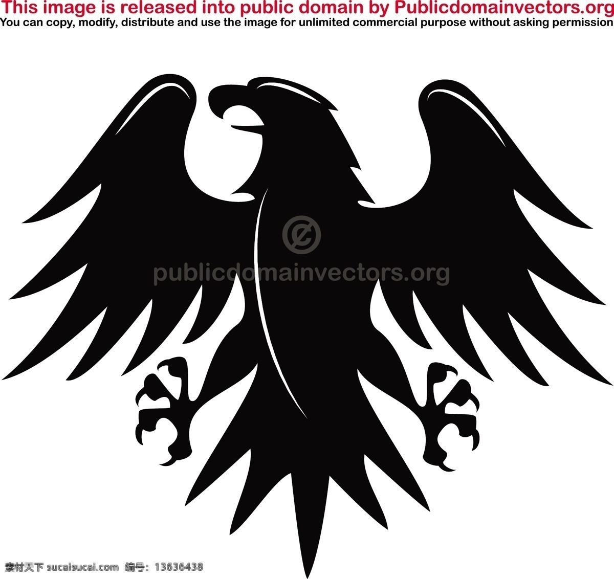 黑鹰 矢量 图像 白色 翅膀 传播 动物 飞 黑色 鸟 鹰 食肉动物 生物世界