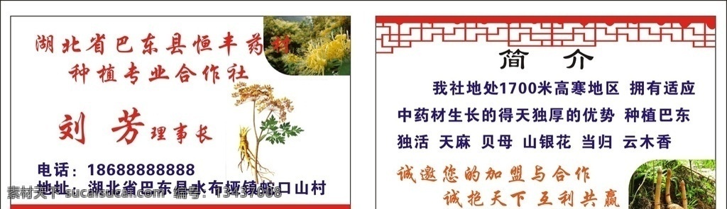 湖北 恒丰 药材 名片 恒丰药材名片 人参 当归 野生药材 天麻 金银花 药材名片 古典窗栏 名片卡片