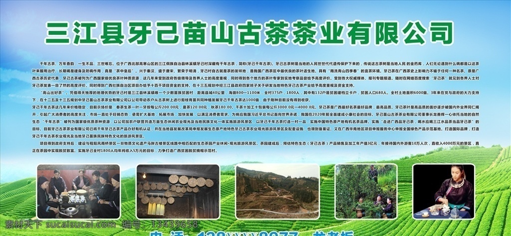 三江茶 茶叶 海报 茶叶背景 绿色背景