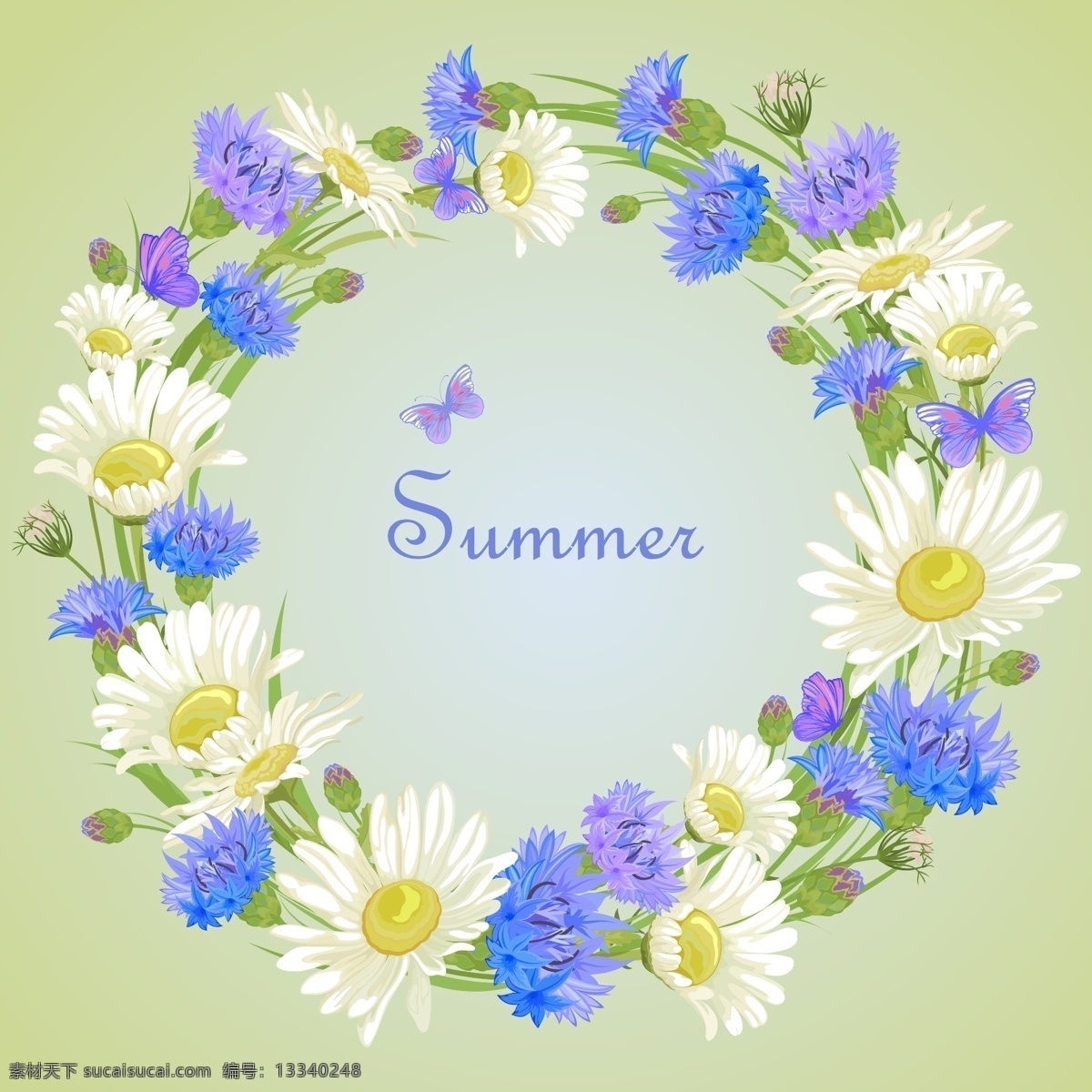 太阳花插画 summer 边框 雏菊 蝴蝶 花朵 模板 设计稿 素材元素 太阳花 藤蔓 叶子 源文件 矢量图