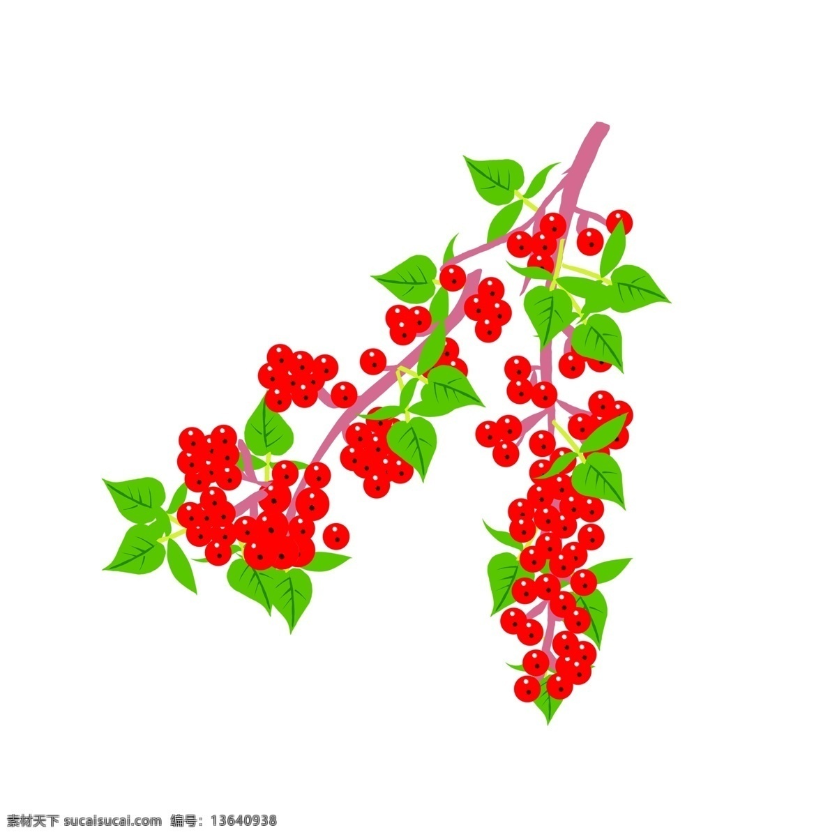 冬季 植物 南天竹 手绘 插画 大雪 手绘插画 羊肉汤 大白杨 黑米粥 红豆粥 石榴树 进补 畏寒 取暖