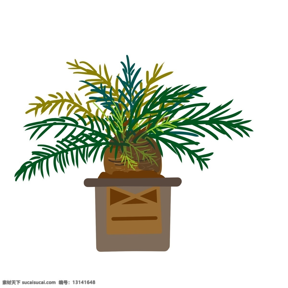 热带植物盆栽 热带植物 绿色盆栽 植物