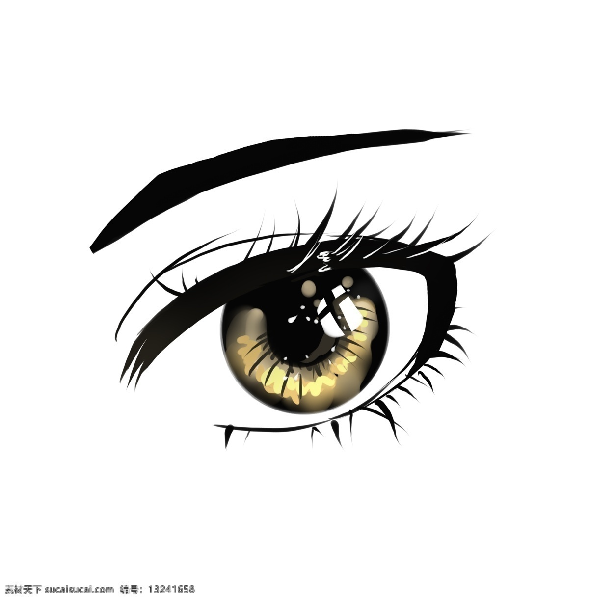美丽黄色眼睛 黄色 眼睛 人体器官