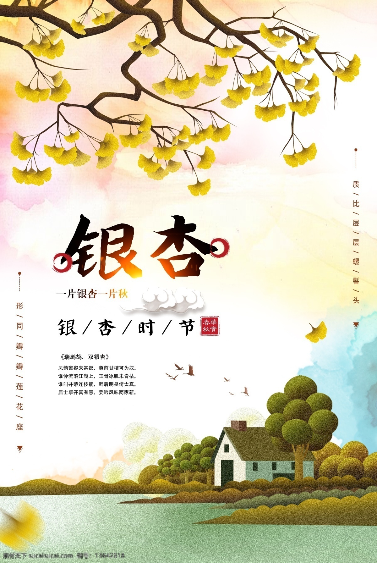 银杏海报 银杏 银杏叶 秋天 赏花 观赏 金秋 叶子 落叶 海报