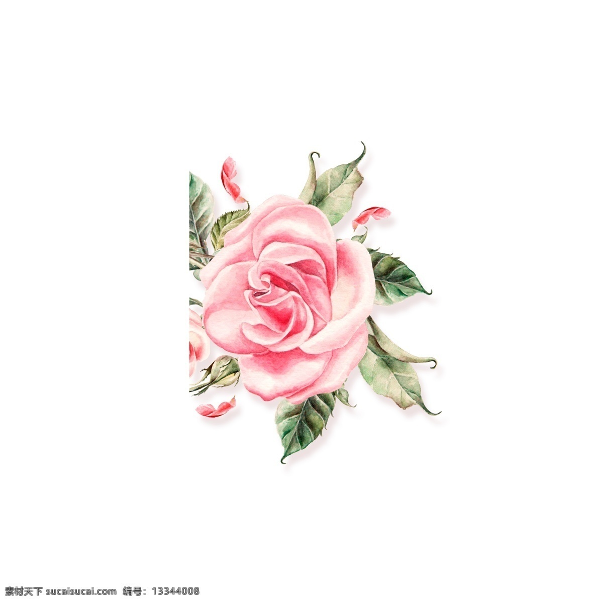 卡通 粉色 鲜花 绿叶 卡通鲜花 粉色花朵 鲜花绿叶 卡通插图 创意卡通下载 插图 png图下载