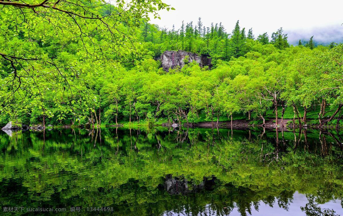 美丽 树林 河流 风景 色 绿树 树木 树叶