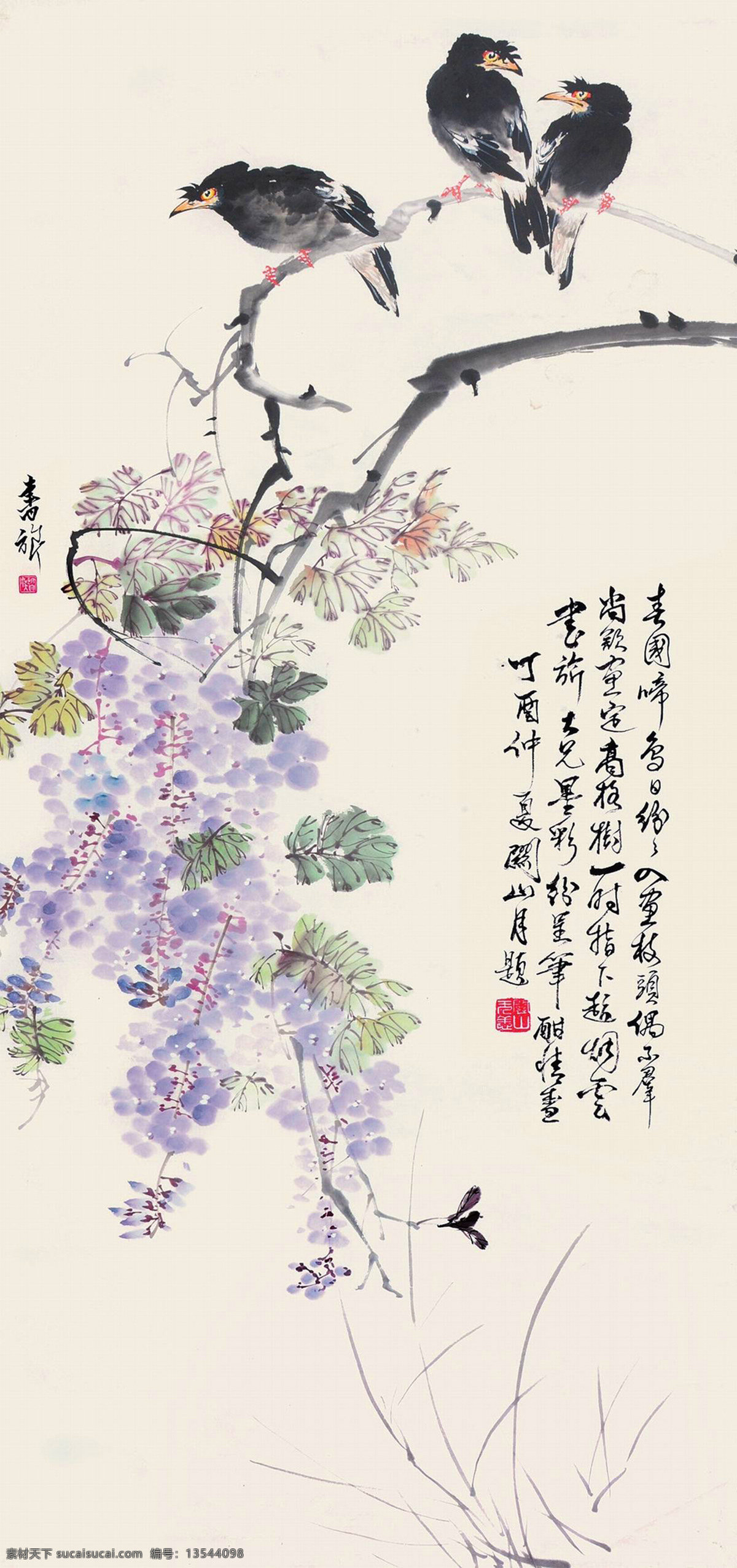八哥图 国画 张书旂 八哥 紫藤 绘画书法 文化艺术