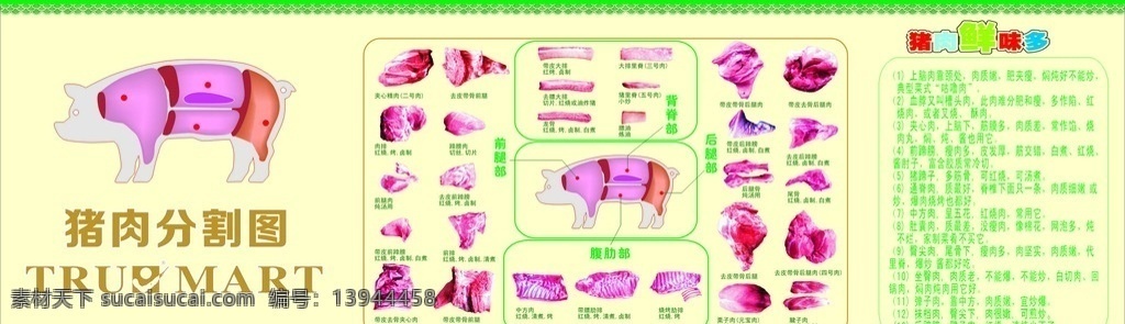 猪肉分割图 猪肉 分割图 猪肉介绍 猪肉做法 背景图