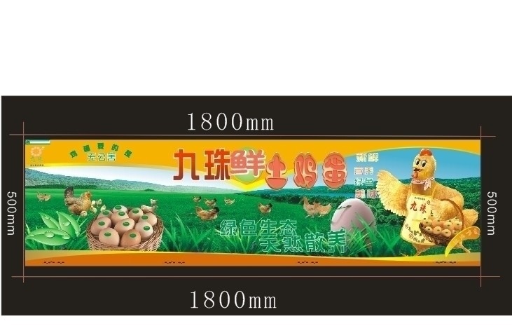 鸡蛋吊牌 土鸡蛋 鲜鸡蛋 鸡蛋 n架 广告 新鲜 营养 绿色 名片卡片 矢量