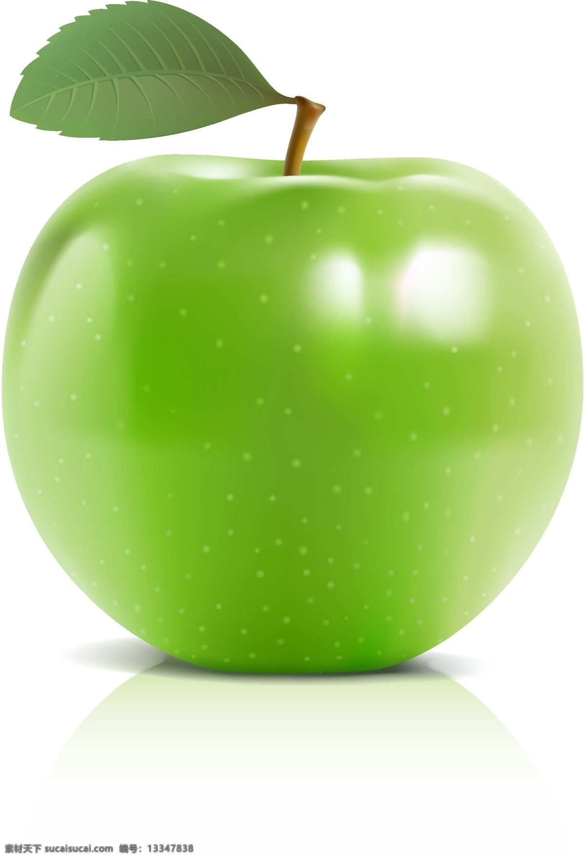 青苹果 矢量 矢量素材 苹果 矢量图 水果