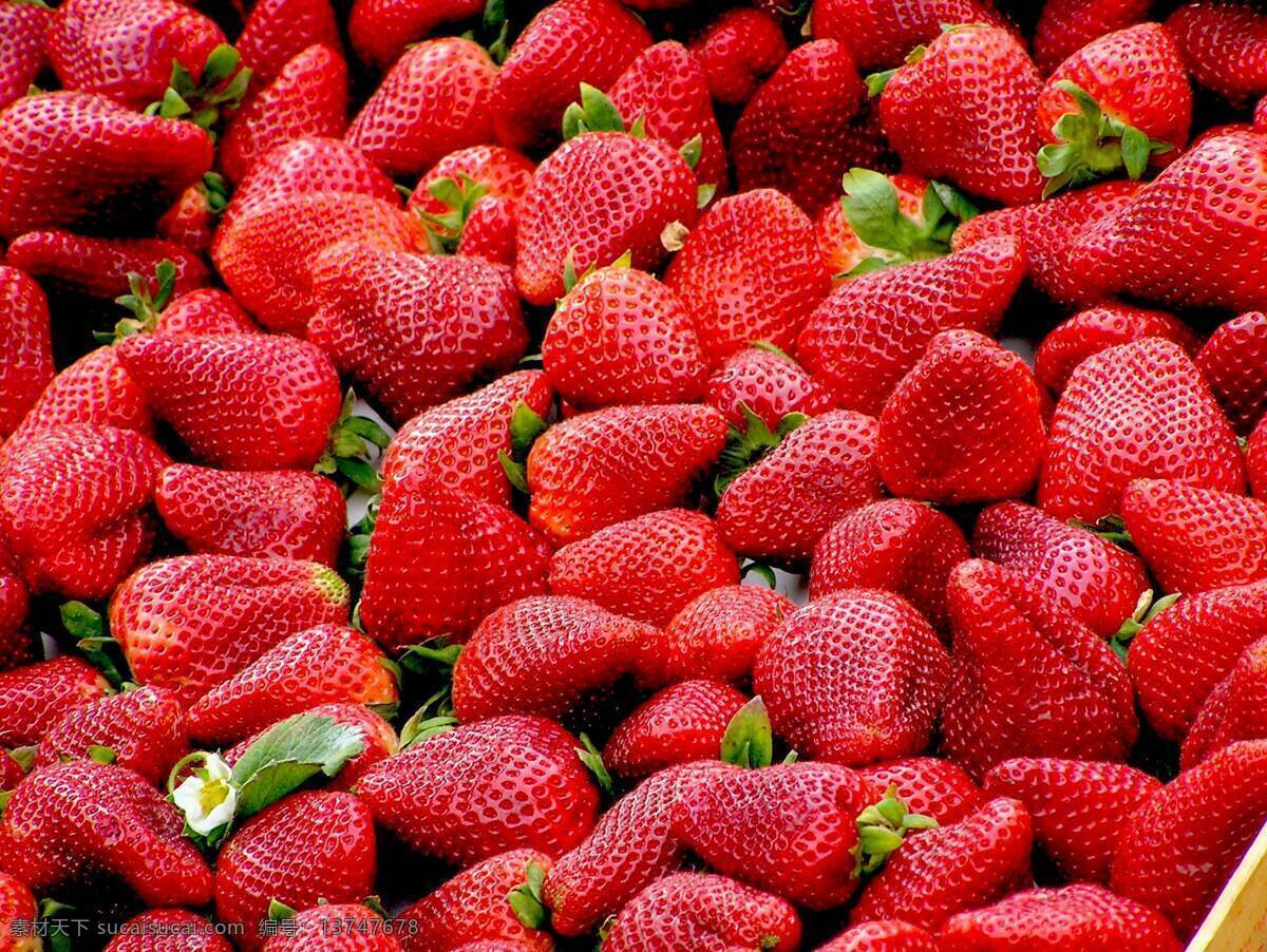 新鲜草莓 美食 食物 写真 可口 美食摄影 餐饮美食 食物原料