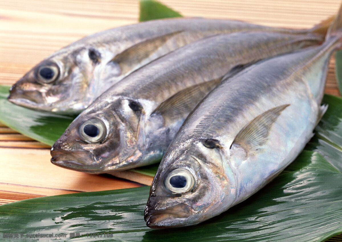 鲜鱼 海产品 水产品 海鱼 海鲜 鱼虾 贝类 水 生物 生物世界 鱼类