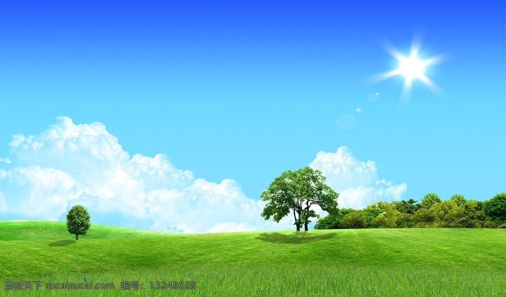 风景 草地 绿色 模板下载 绿色风景 蓝天草地 天空 向日葵 气泡 星星 白光 聚光 绿树 绿色草地 设计素材 自然风光 自然景观