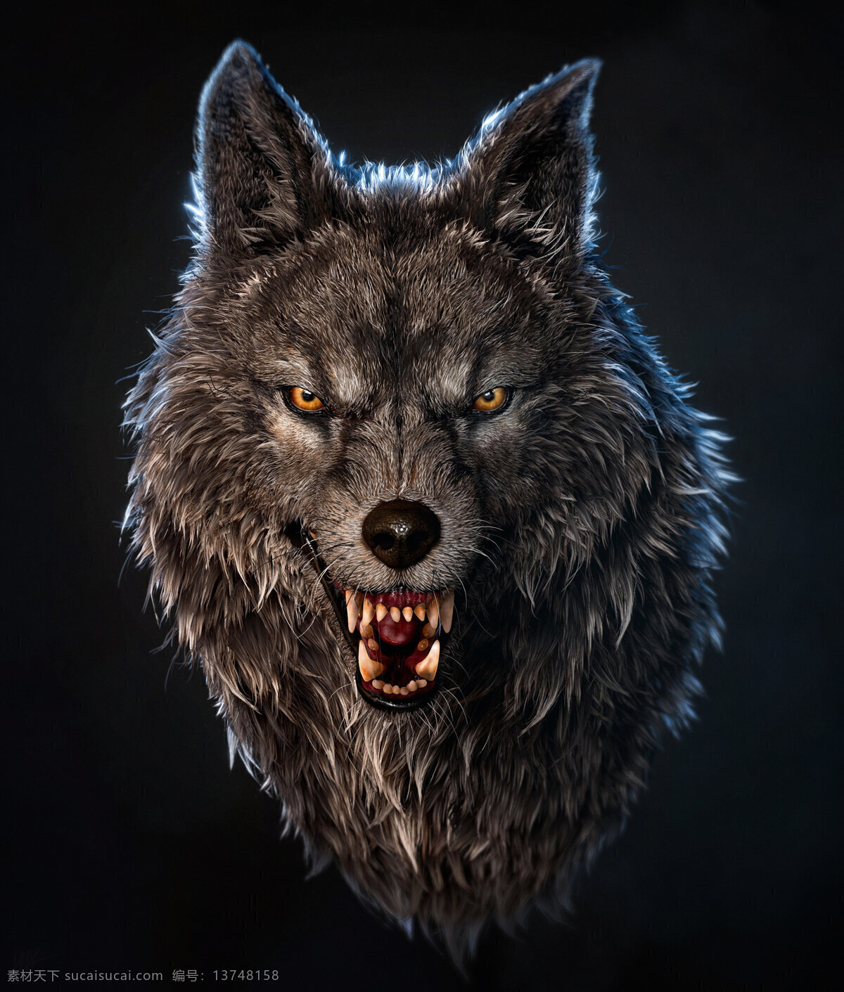 狼头 3d 效果图 狼 狼图腾 狼表情 野狼 恶狼 生物世界 野生动物