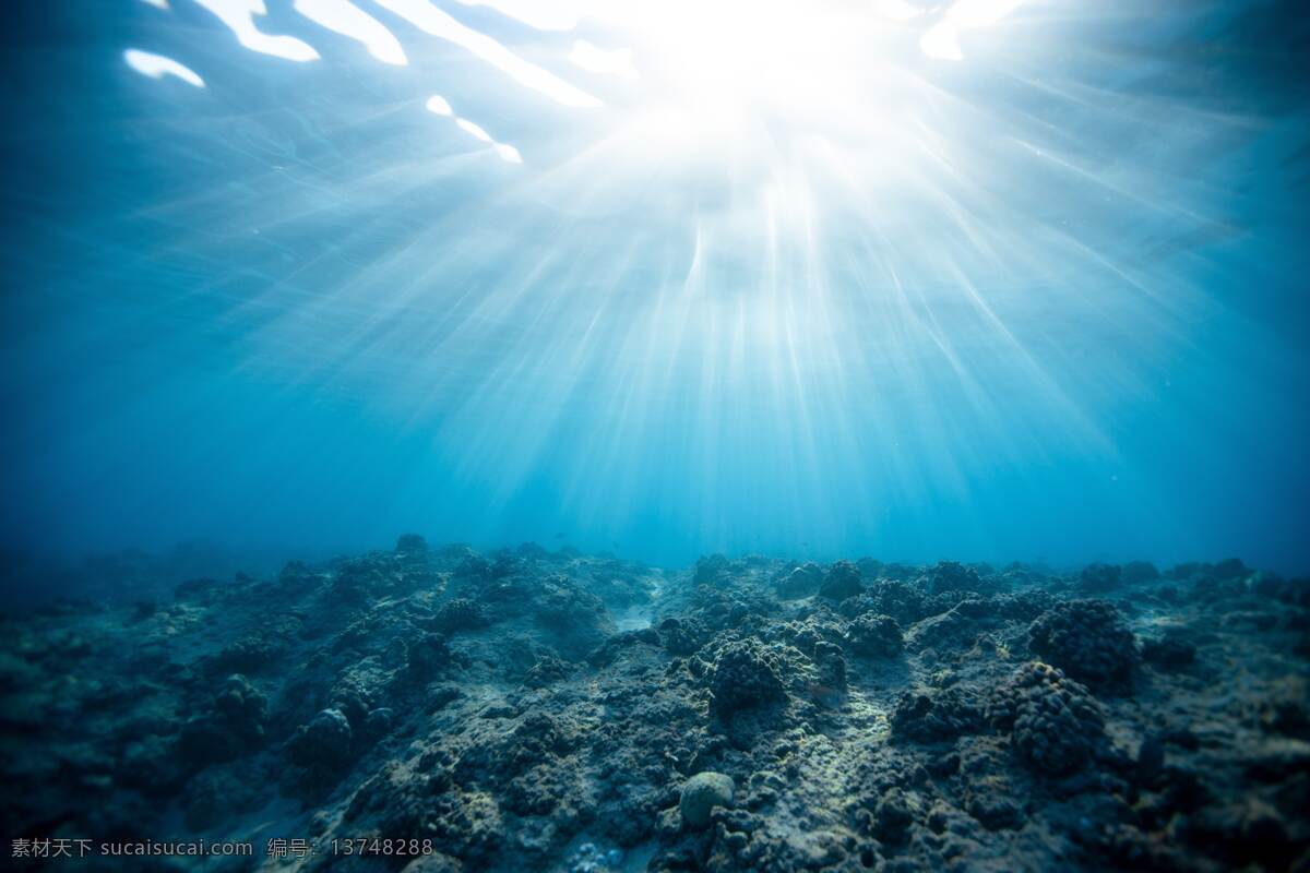 海底 耀眼 阳光 透过 海水 自然景观 自然风光