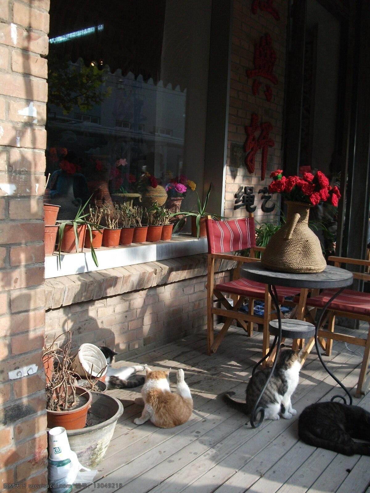 花 家禽家畜 猫咪 清晨 生物世界 阳光 桌椅 创意 小屋 前 绳艺店 小憩