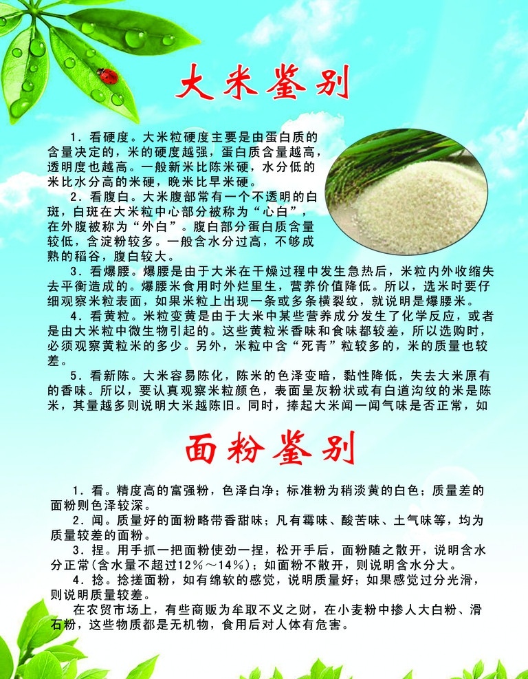 食品安全展板 树叶 大米 蓝天白云 虫儿 渐变 背景 分层 源文件