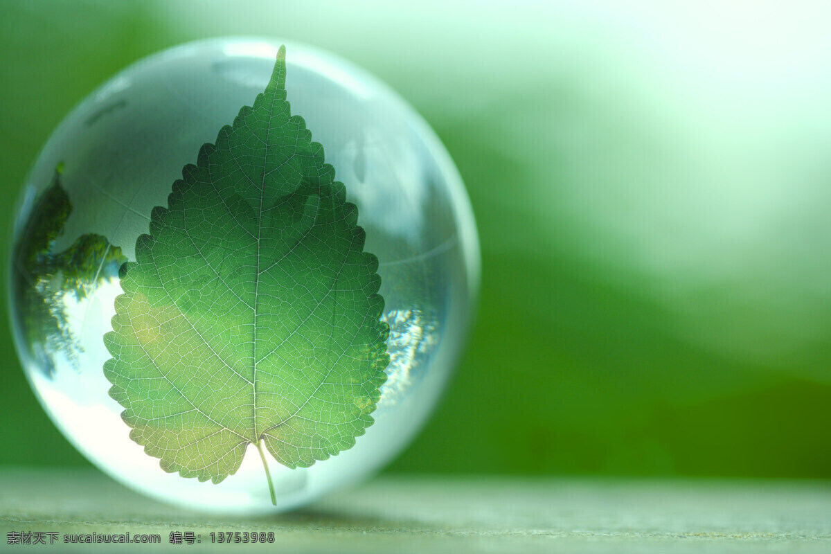 玻璃球 大自然图片 风景素材 户外素材 旅游摄影 绿色素材 摄影图库 树叶 水晶球 水滴 自然景物 psd源文件