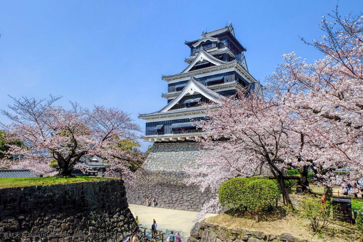 美丽 日本 熊本 城 高清 熊本城 城市 古建筑 日本建筑