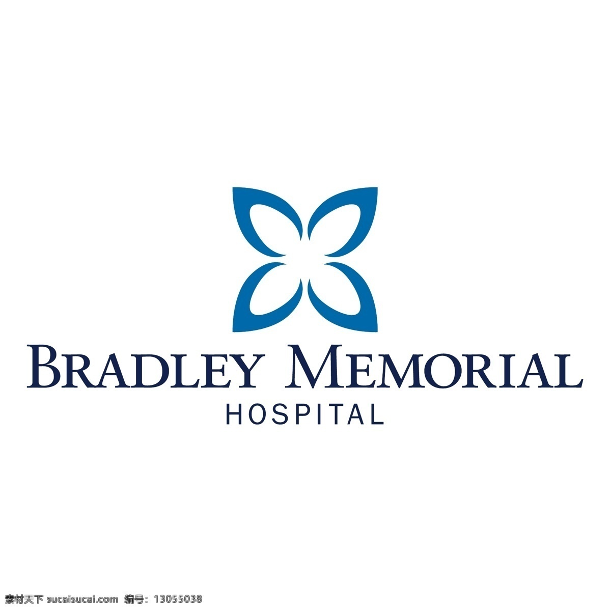 布拉德利 纪念 医院 矢量图 其他矢量图