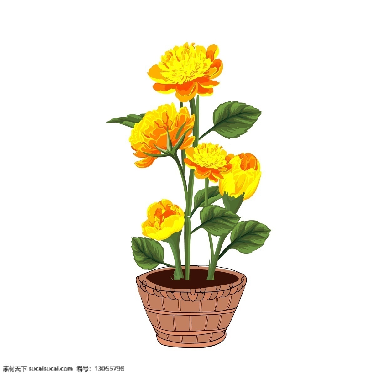 手绘 植物 盆景 金黄色 美丽 花卉 绿叶