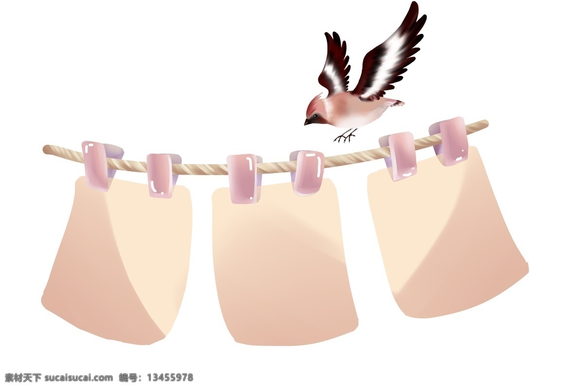 晾 衣架子 装饰 插画 晾衣架子 晾衣绳 紫色夹子 展翅 飞 鸟儿 小鸟 创意 衣 绳 相框 装饰插画