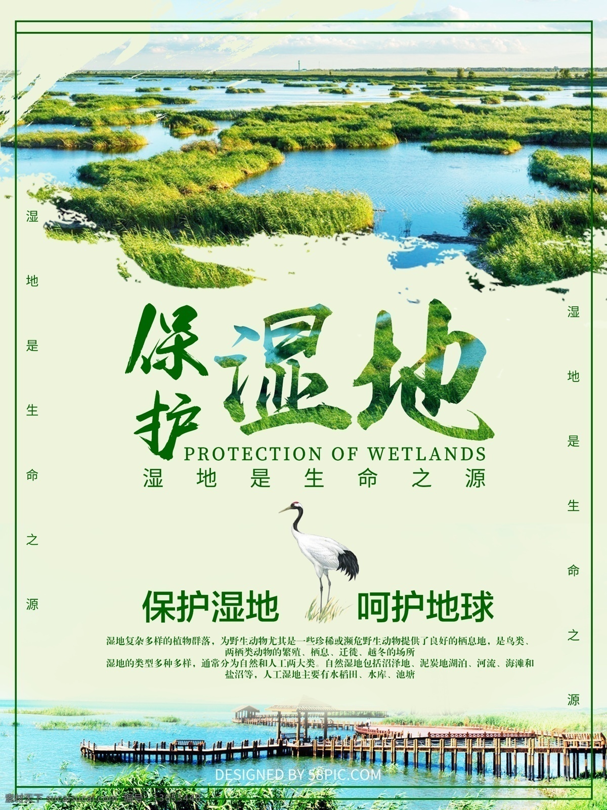 绿色环保 湿地 海报 保护湿地 呵护地球 环保 简约 绿色 湿地节 自然