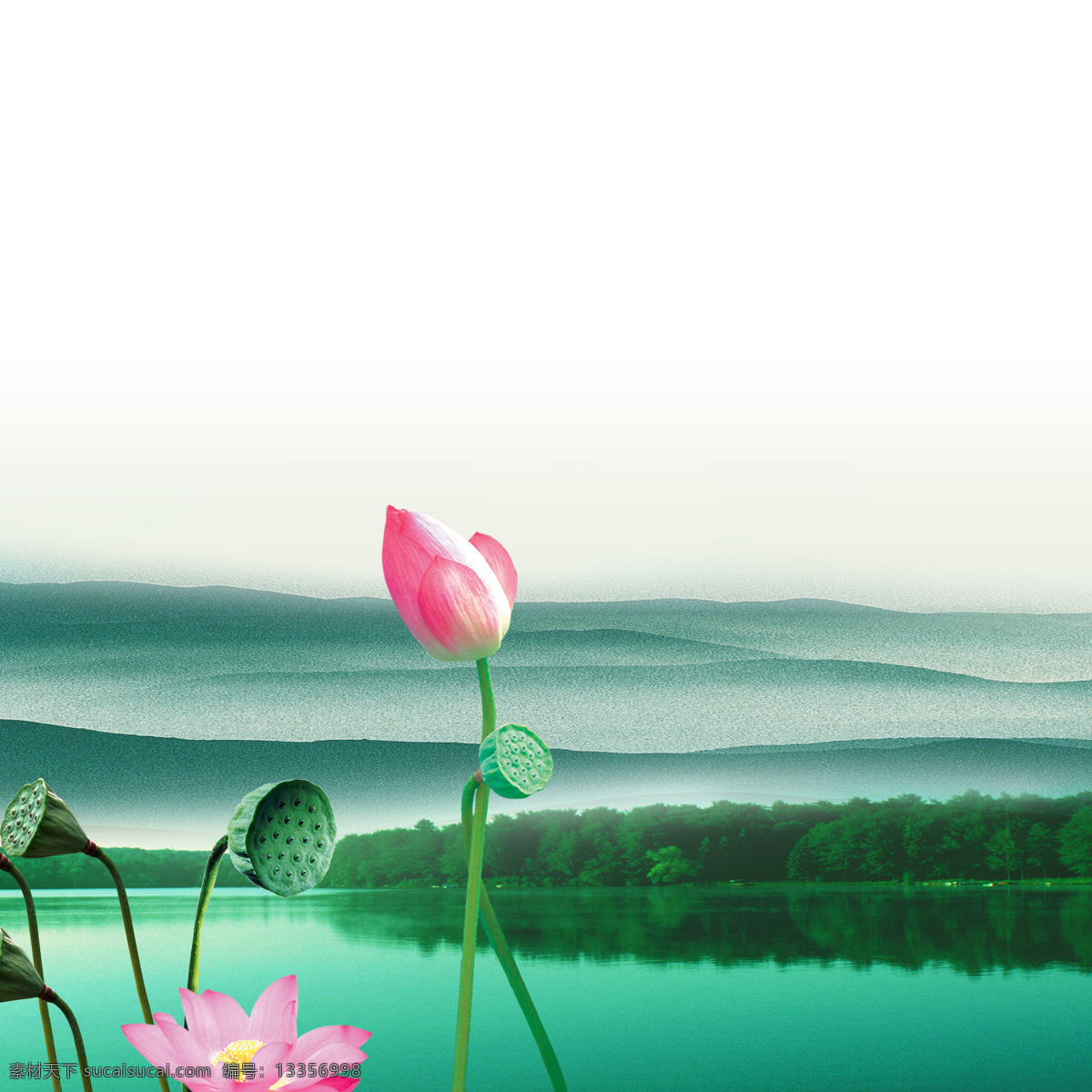 荷花装饰画 无框画 简约 现代 组合 高清 无框画图片 高清分层 现代装饰 组合画 装饰客厅 挂画家居 文化艺术 图案 客厅 抽象 创意 荷花