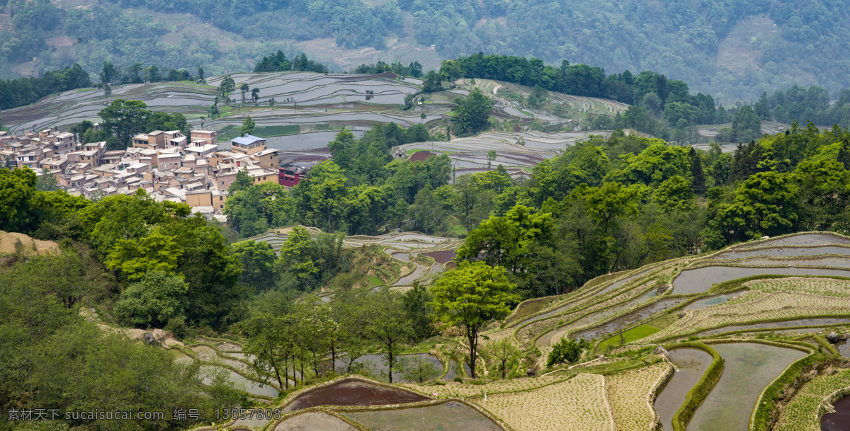 元阳 梯田 风景摄影 风景 高清 原图 风光 云南 田野 植物 春天