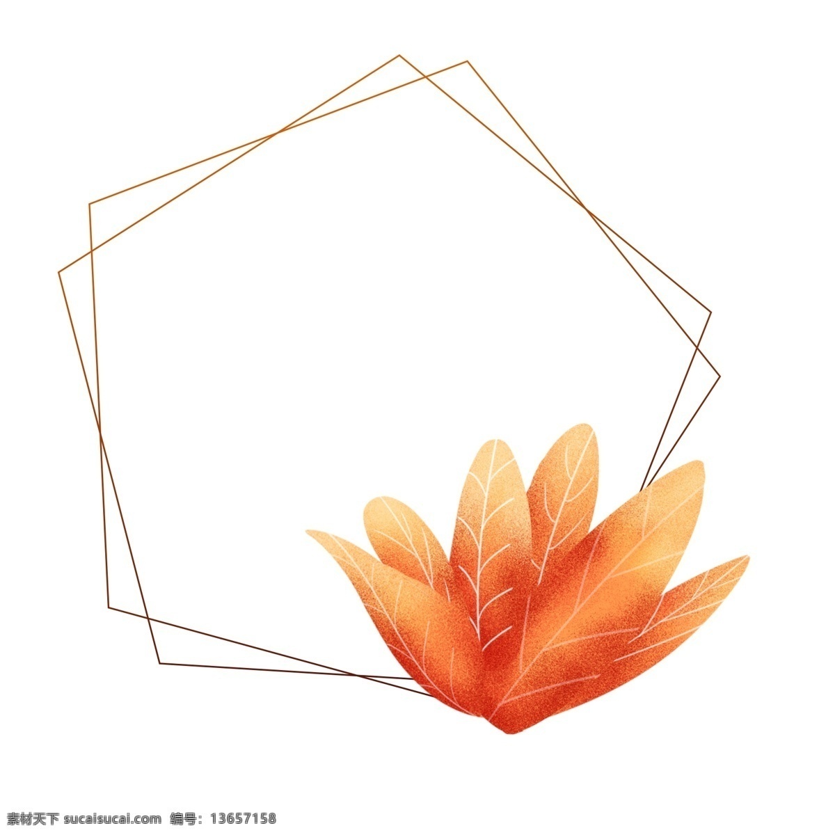 手绘 珊瑚 橘 配色 植物 叶子 边框 元素 手绘边框 手绘植物 手绘叶子 珊瑚橘边框 珊瑚橘植物 珊瑚橘叶子
