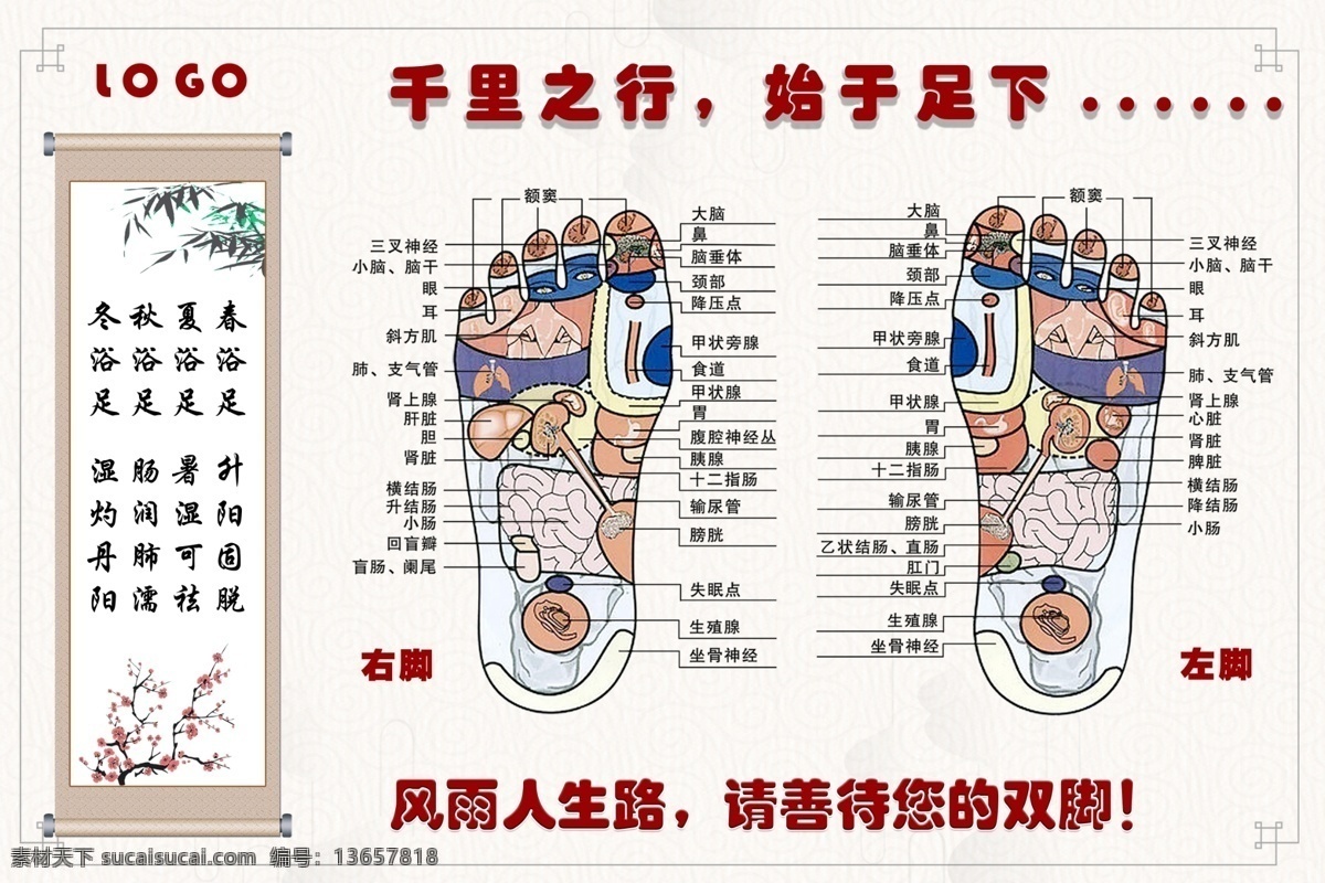 足部穴位图 足部 脚部穴位 穴位图 足浴图 足浴穴位