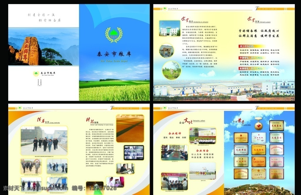 泰安市粮库 五岳独尊 迎客松 企业画册 山脉 矢量山 蓝天白云 麦田 绿色卖地 泰山 玉皇顶 矢量花纹 朦胧 粮库 粮食储备 画册设计 广告设计模板 源文件 tiff