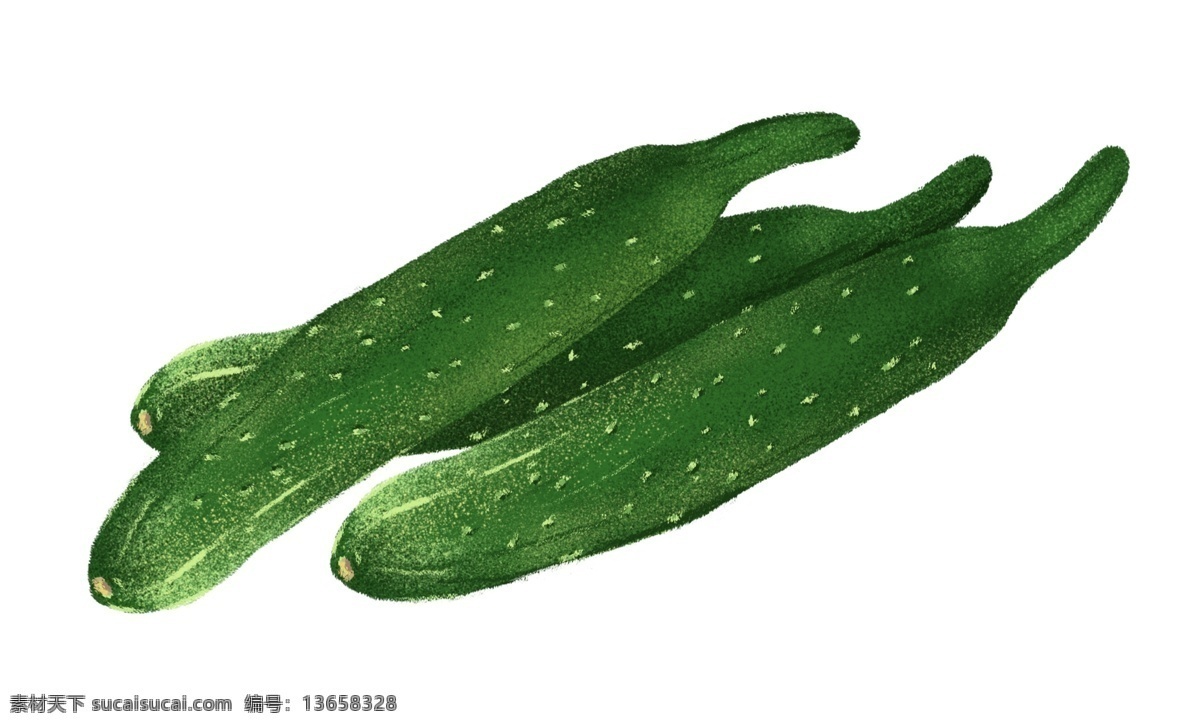 黄瓜 免 抠 图 手绘黄瓜 手绘写实黄瓜 蔬菜 手绘蔬菜 瓜类 蔬菜装饰图案 绿色黄瓜 png免抠图