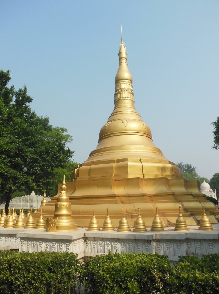仰光大金塔 缅甸 金塔 树木 天空 建筑摄影 外国建筑 建筑园林